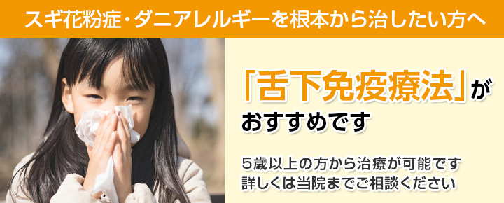 スギ花粉症・ダニアレルギーを根本から治したい方へ