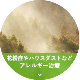花粉症やハウスダストなどアレルギー治療