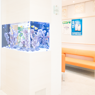 <strong>中待合と癒しの水槽</strong><br>中待合の前には、ゆったりとした魚の泳ぎで癒される水槽を設置しています。