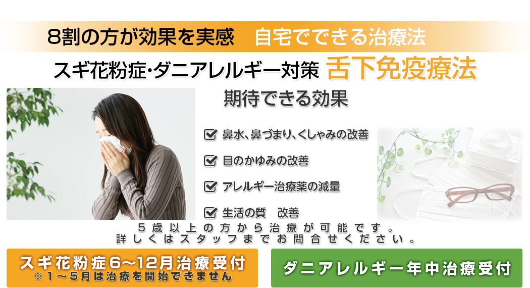 スギ花粉症・ダニアレルギー対策 舌下免疫治療法　つらい鼻づまり・鼻水・くしゃみになど毎年悩まされている方に